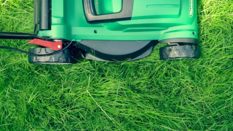 Landscaping Tips to Reduce Lawn Work and Noise