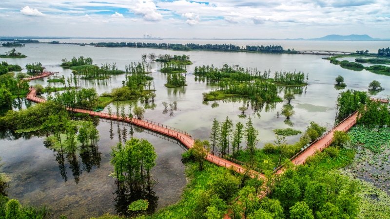 The Subtle Standard of a True Southlake Cut