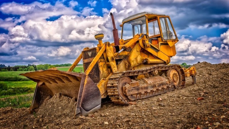 Clearing Damaged Growth Protects Property Value