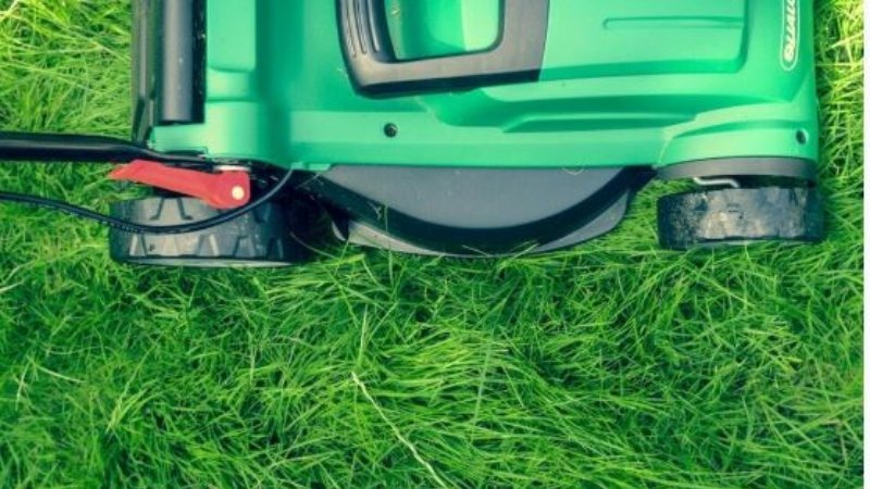 Lawn Care Is Needed to Maintain Property Beauty