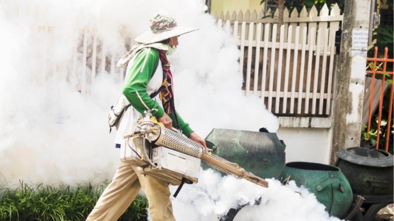 Local Mosquito Control Services For Maximum Effect