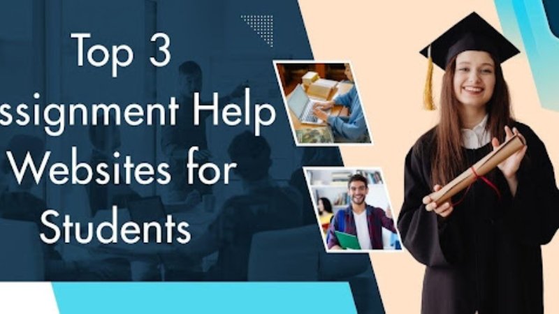 Management Assignment