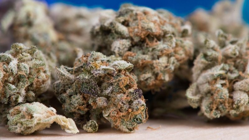 Right Dispensary for Quality Products