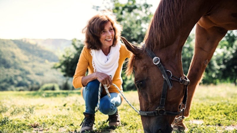 The Foundation of Equine Excellence: Essential Gear for Every Stable