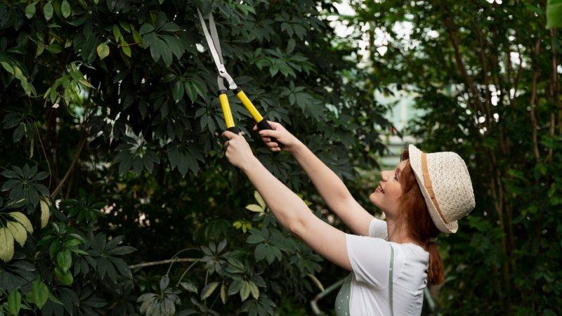 Tree Trimming Services in Greater Columbus