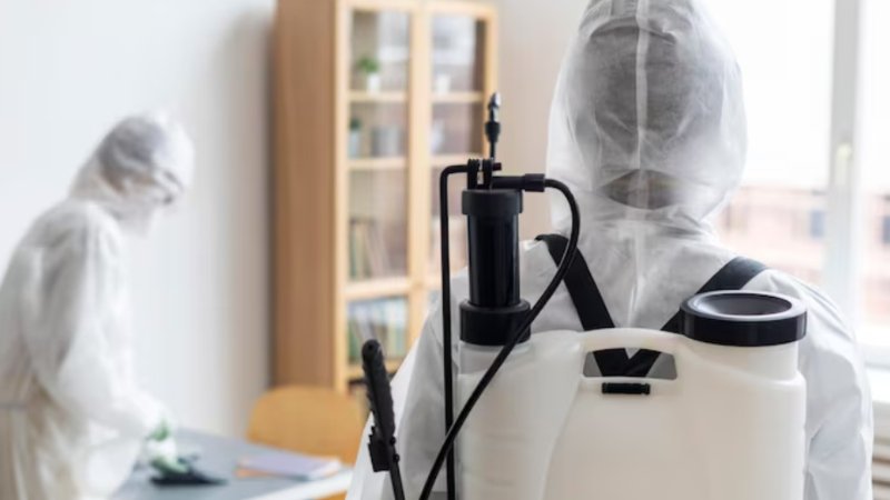 Great Exterminator Keep Your Home Protected Long-Term