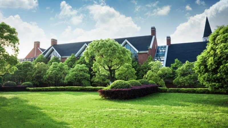 How A Recurring Lawn Care Service Keeps Your Yard Healthier