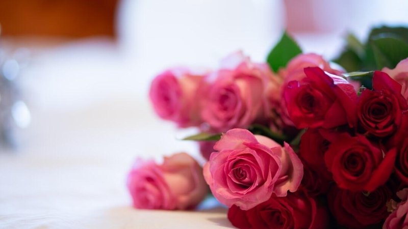 From Sympathy to Celebration: Choosing the Perfect Blooms
