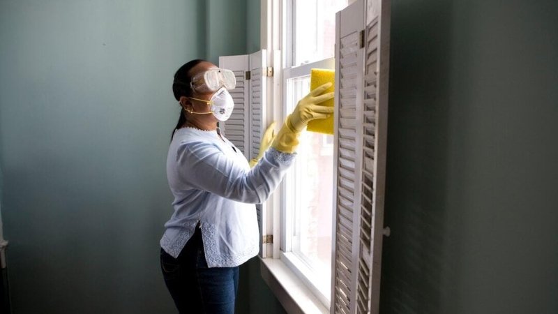 How to Identify and Address Common Household Mold Issues